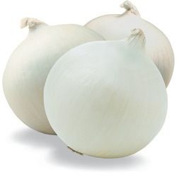 Fresh White Onions, Packaging Type : 10kg / 25kg Bags