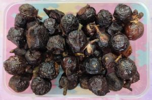 Natural Soap Nuts