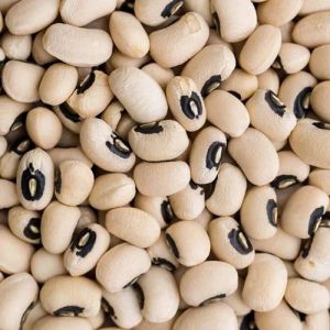 Hard Organic Black Eyed Beans for Cooking, Cooking Use