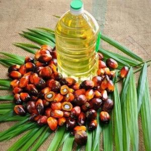 Palm Oil, Extraction Method : Cold Pressed for Cooking