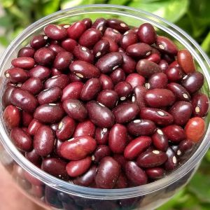 Organic Red Kidney Beans, Speciality : High In Protein, Gluten Free