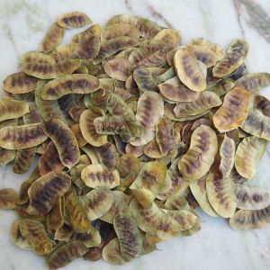 Double Clean Senna Pods