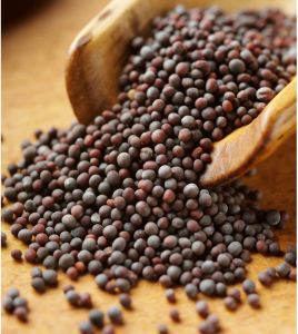 Black Mustard Seeds
