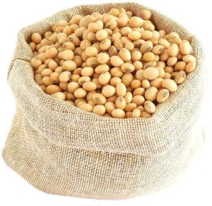 Soybean Seeds
