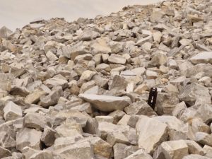 Brown Dolomite Grits, Color : Gray for Industrial Use, Construction