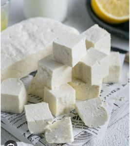 fresh paneer
