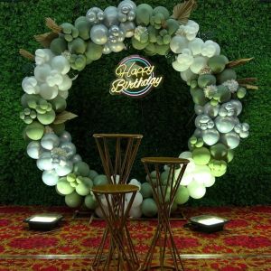 Birthday Party Decorator in Chandigarh Mohali Punchkula 9876554985