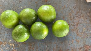 Lemon, Packaging Size : 5kg, 10kg, 15kg, Packaging Type : Net Bag