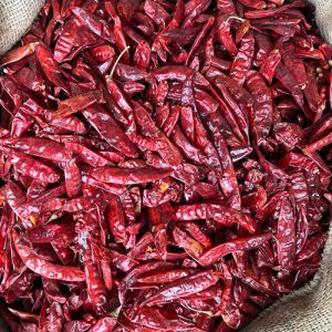 Dried Chili Peppers Red Chilli for Commonly Used In Cooking