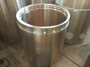 Metso Eccentric Bush