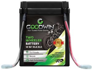 Goodwin Two Wheeler Calcium Battery