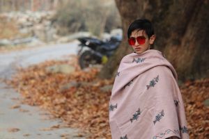 Printed Kashmiri Pashmina Shawl, Color : Brown, Gender : Gents