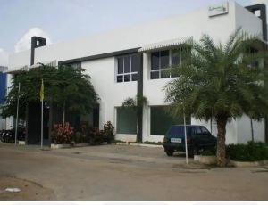 Plain Aluminum Window, Color : Transparent