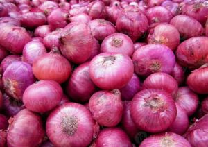 Red Onion, Packaging Size : 50kg, 10 Kg, 20 Kg