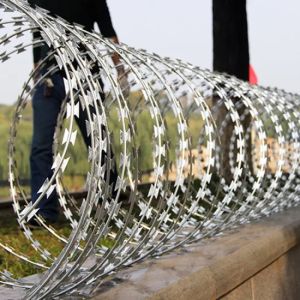 Concertina Razor Wire