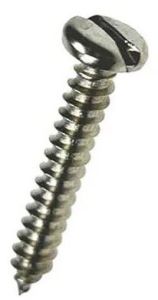 SS Pan Slotted Screws