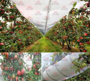 Anti Hail Net for Agriculture, Horticulture