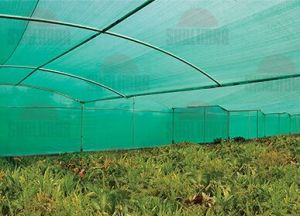 Shade Net, Color : Green