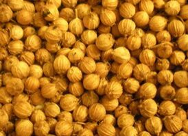 Ajwain Seeds, Packaging Type : Sealed Container