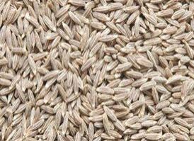 Cumin Seeds, Packaging Type : Plastic Pouch, Plastic Packet