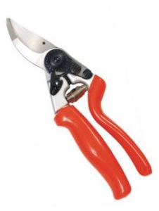 Secateurs