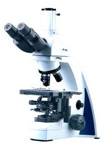 Trinocular Microscopes