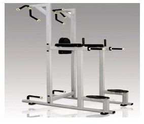 Metal Vertical Knee Raise