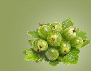 Fresh Amla for Food, Health Supplement