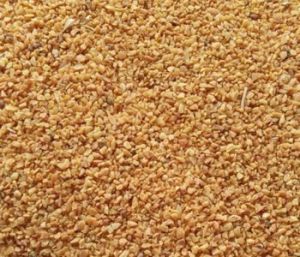 Dehydrated Garlic Minced