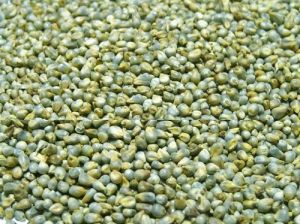 Tusker Berry Millet