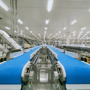 Antistatic Conveyor Belts