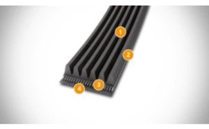 Polyurethane Multi Ribbed Poly-V Belts
