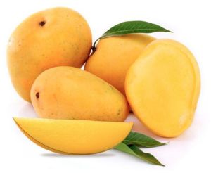 Alphonso Mango