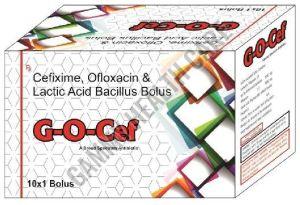 G-O CEF Antibiotic Bolus, Packaging Type : Box