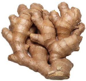 A Grade Natural Fresh Ginger