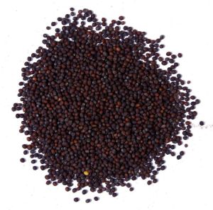 Natural Mustard Seed