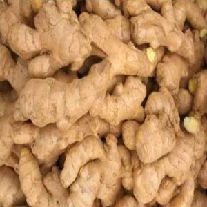 Organic Fresh Ginger for Cooking