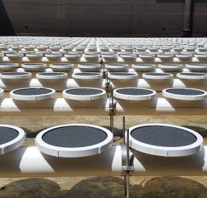 Polished EPDM Disc Fine Bubble Diffuser 8inch, 200 - 300mm