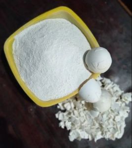 White Egg Shell Powder, Purity : >99%, Grade : Cosmetic Grade