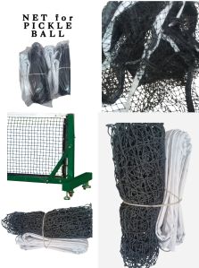 DSL Polished Carbon Steel Pickle Ball Pole and Net Standard