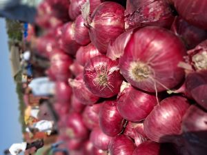 Nashik Red Fresh Onion