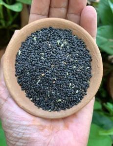 Basil Seeds