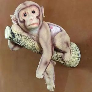 Resin Wall Monkey Show Item