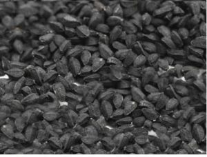 Black Cumin Seeds