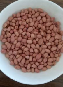 Groundnut Peanut Seeds