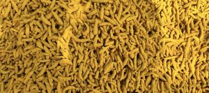 Organic Turmeric Finger, Color : Yellow, Grade Standard : Food Grade, Form : Whole