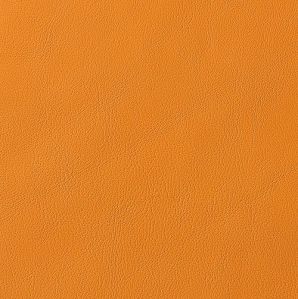Montezuma Leather Aircraft Seat Fabric