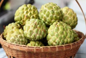 Fresh Sugar Apple, Taste : Sweet Refreshing