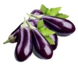 Fresh Brinjal Vegetable, Color : Purple