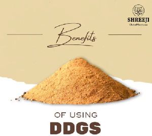 Dried Distillers Grains Solubles (DDGS)